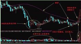 精准一肖100%准确精准的含义,精准一肖，探寻百分之百准确预测的背后含义