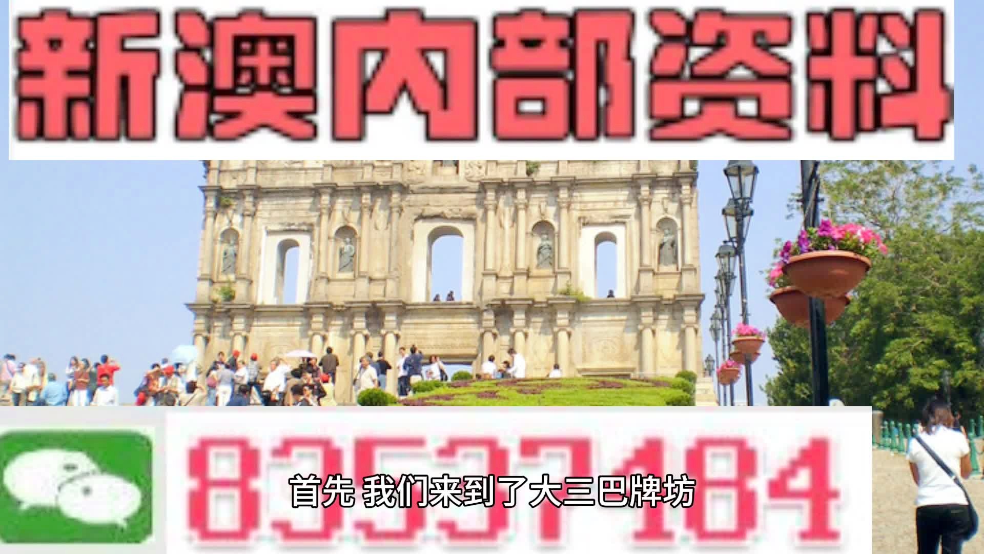 新澳2024大全正版免费资料,新澳2024大全正版免费资料解析