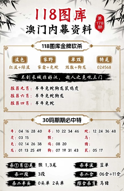 494949澳门今晚开什么,澳门今晚开什么，探索随机性与预测之间的边界