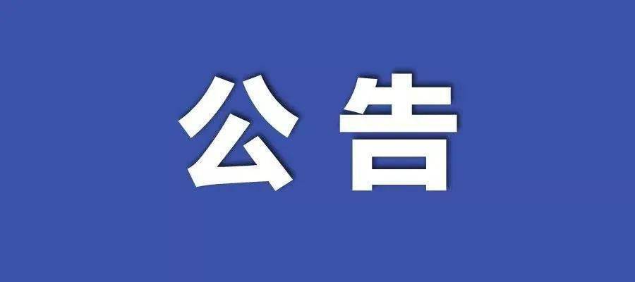 2024新澳天天正版资料大全,关于新澳天天正版资料大全的探讨与警示