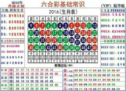 2025十二生肖49码表,揭秘十二生肖与数字密码，独特的2025十二生肖49码表