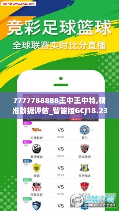 王中王493333WWW,王中王与数字的魅力，探索未知的神秘世界 493333WWW