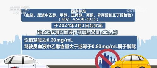 2025澳门最精准正最精准龙门,探索澳门未来，2025年最精准的发展蓝图与龙门