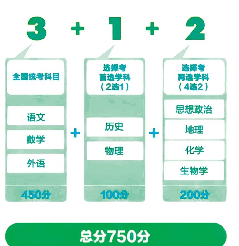 2025新澳天天资料免费大全,2025新澳天天资料免费大全——探索最新资讯与资源的门户