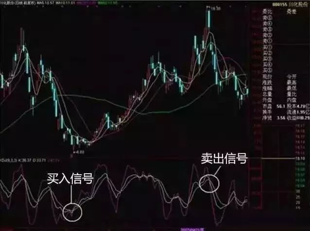 2025年2月10日 第50页