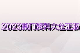 2023澳门正版全年免费资料010期 07-09-21-28-30-45H：17,探索澳门正版全年免费资料的深度价值，以010期为例，解析数字背后的秘密